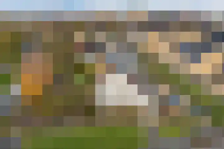 't Zand 8 Utrecht thumbnail 32