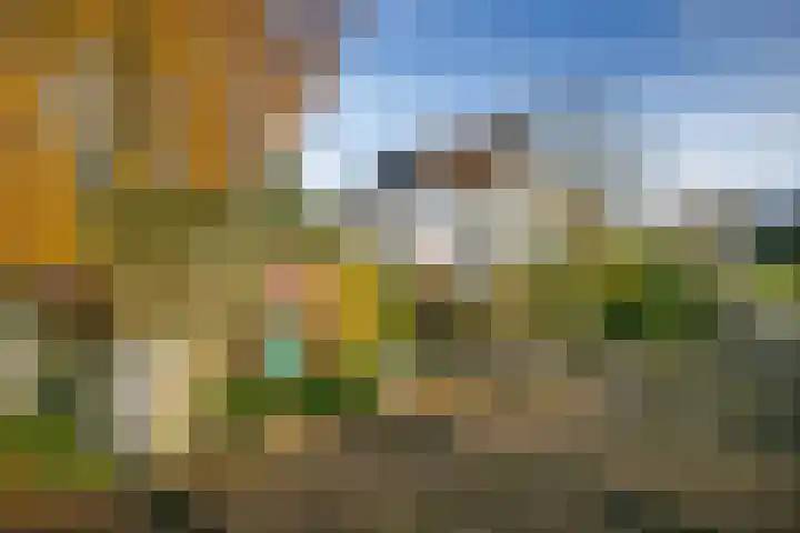 't Zand 8 Utrecht thumbnail 34