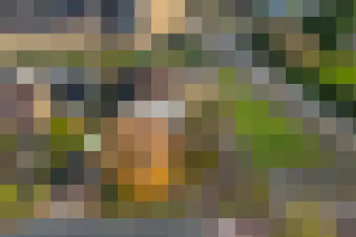 't Zand 8 Utrecht thumbnail 35