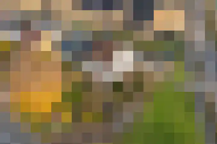 't Zand 8 Utrecht thumbnail 36