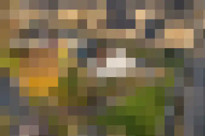 't Zand 8 Utrecht thumbnail 37