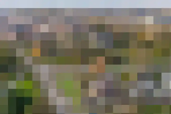 't Zand 8 Utrecht thumbnail 38