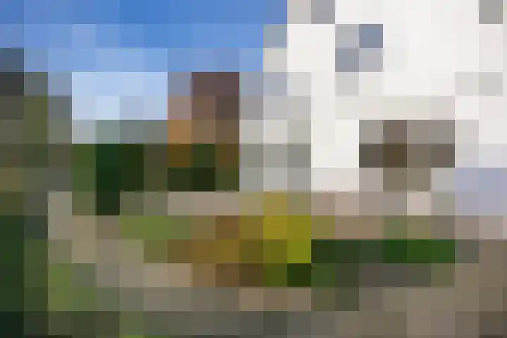 't Zand 8 Utrecht thumbnail 5