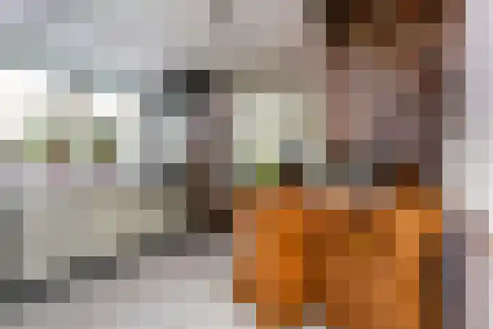 't Zand 8 Utrecht thumbnail 8