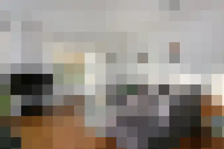 't Zand 8 Utrecht thumbnail 9