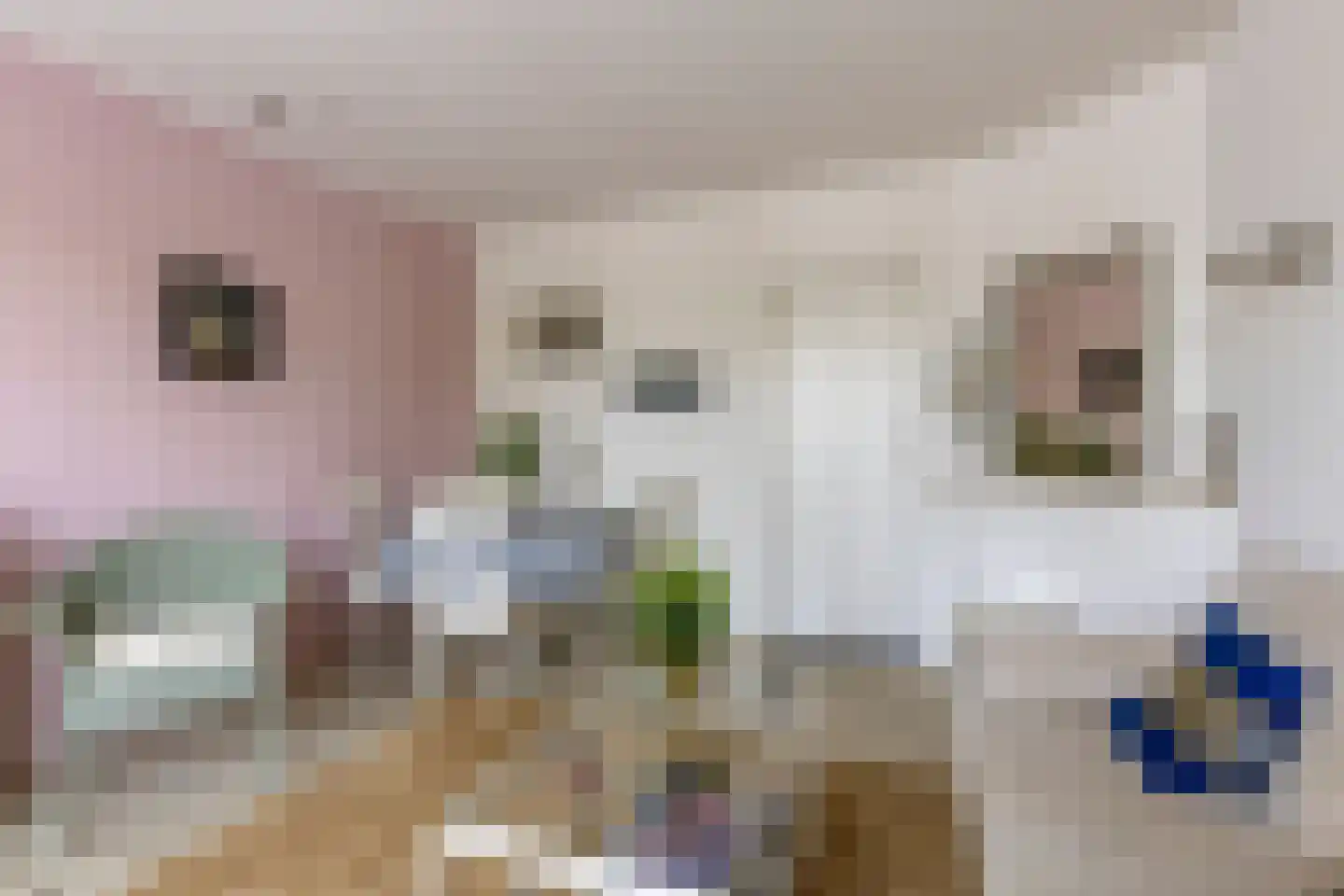 't Zand 9 Monnickendam thumbnail 14