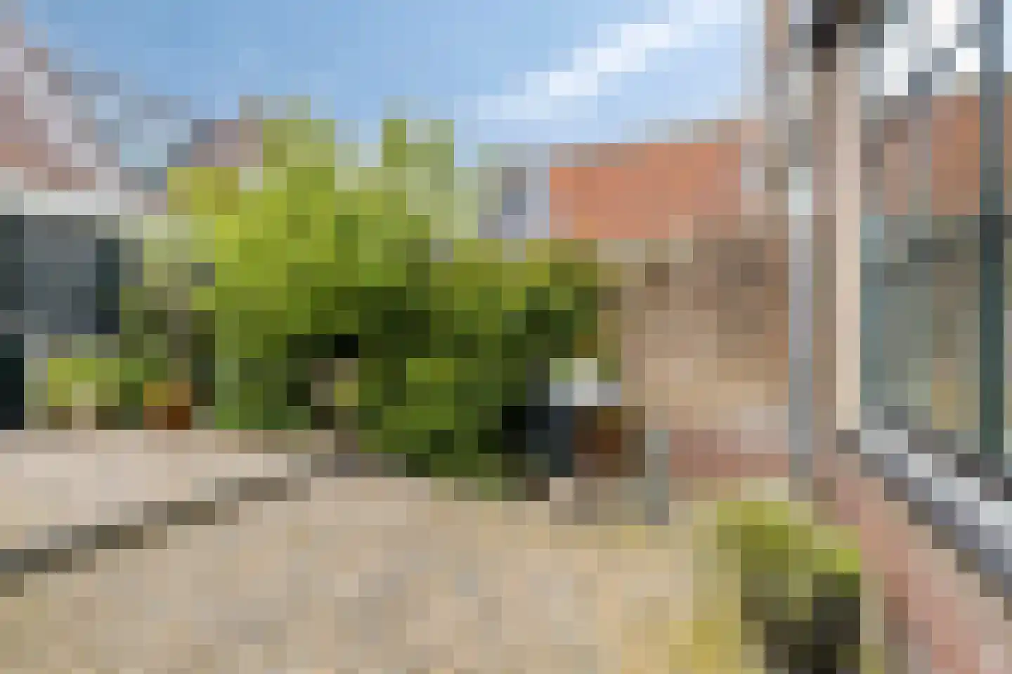 't Zand 9 Monnickendam thumbnail 39
