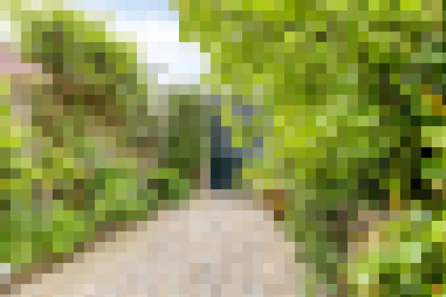't Zand 9 Monnickendam thumbnail 40