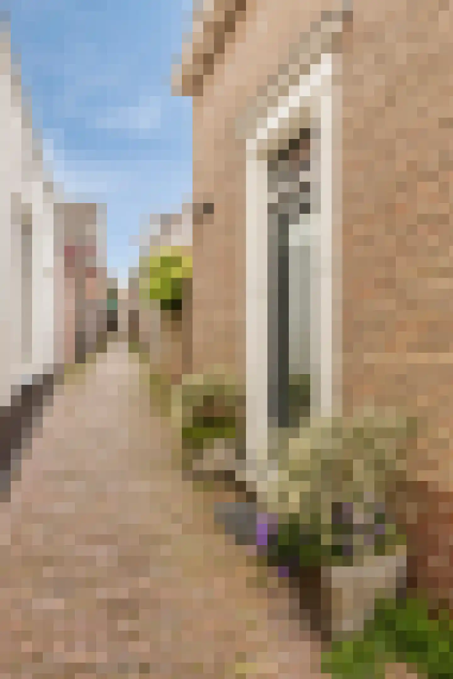 't Zand 9 Monnickendam thumbnail 46