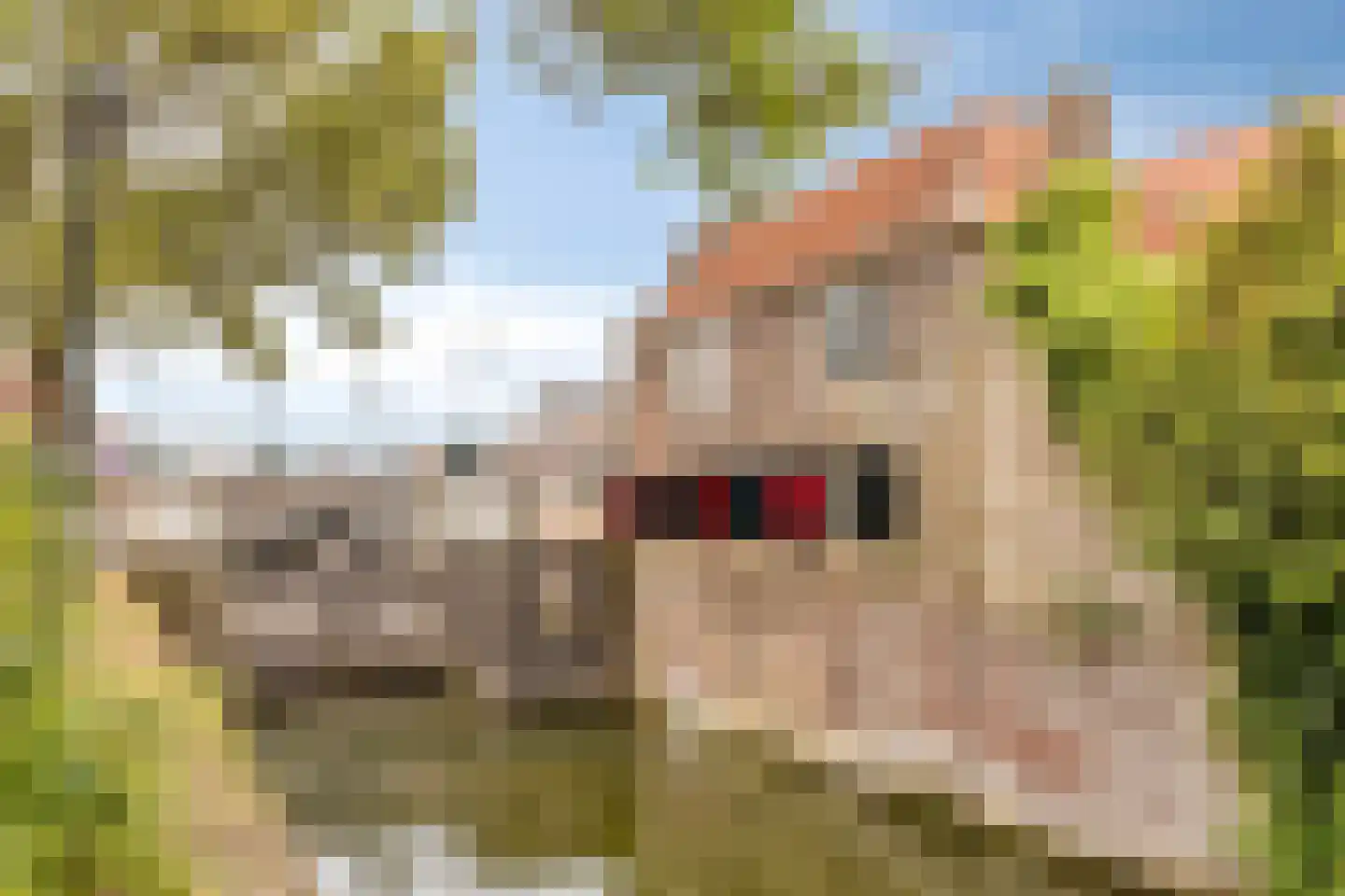 't Zand 9 Monnickendam thumbnail 49