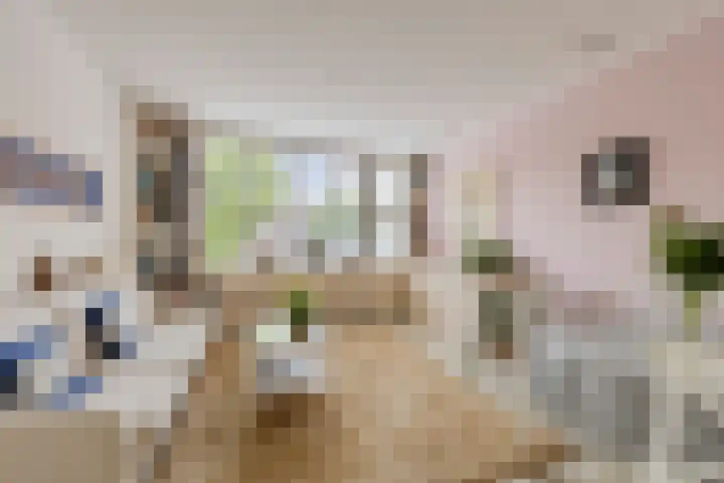 't Zand 9 Monnickendam thumbnail 8