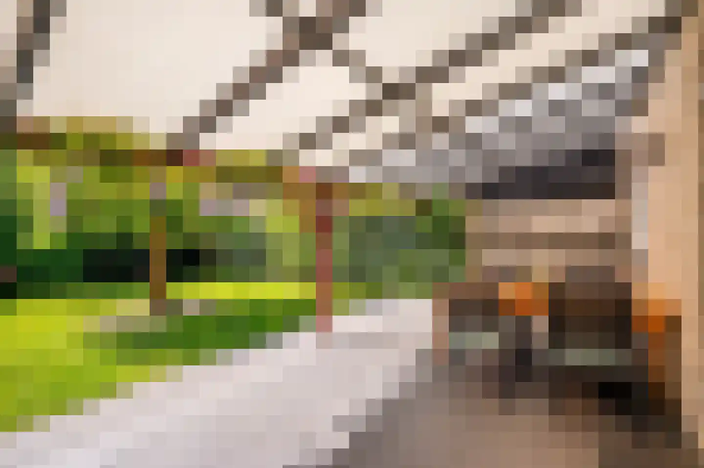 't Zand 9 Roermond thumbnail 33