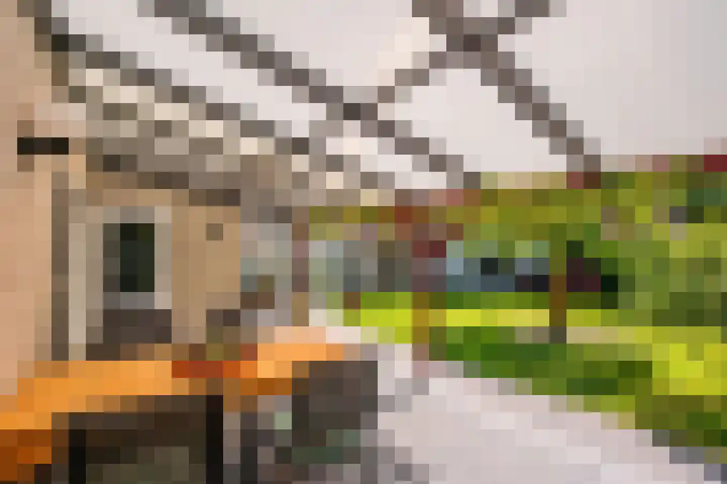 't Zand 9 Roermond thumbnail 34