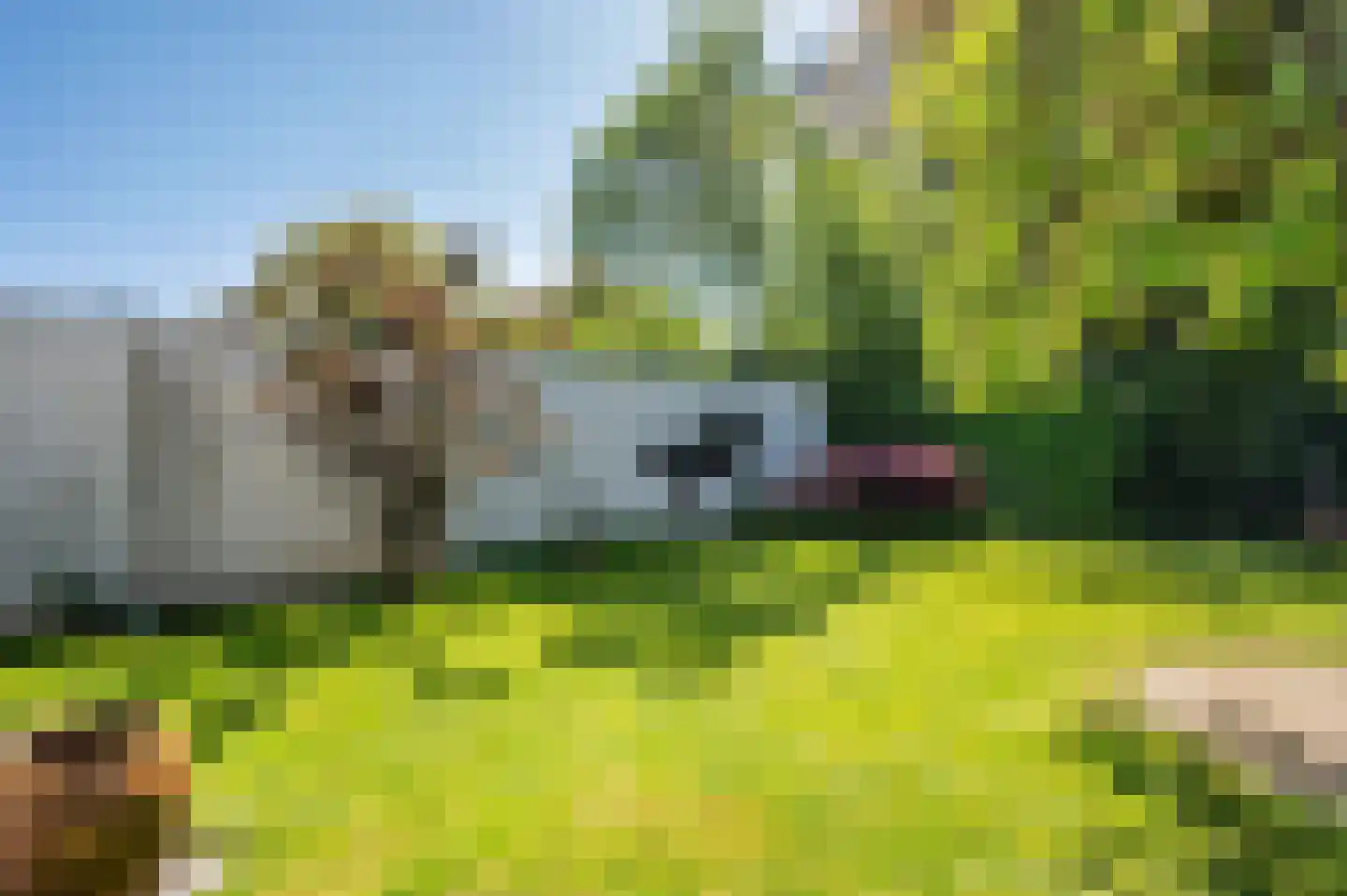 't Zand 9 Roermond thumbnail 36