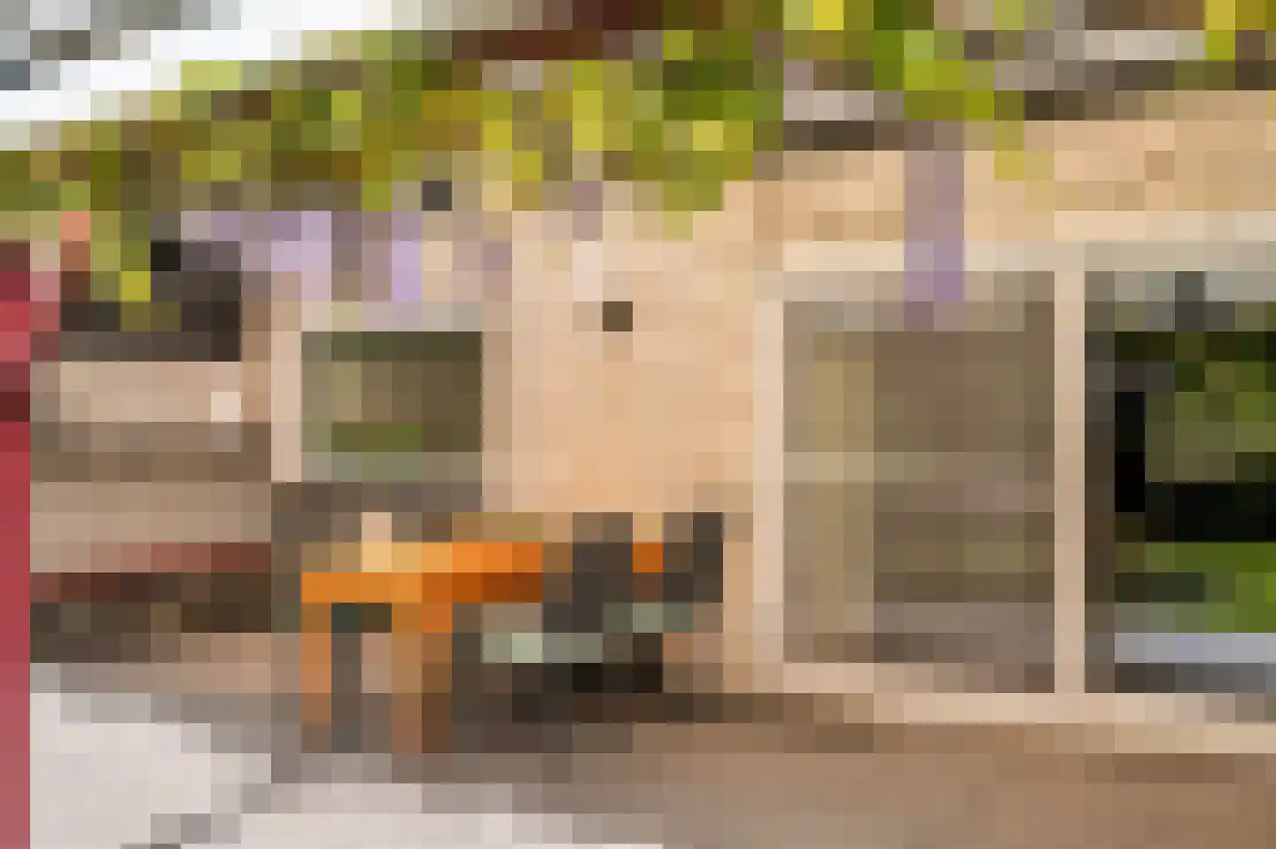 't Zand 9 Roermond thumbnail 39