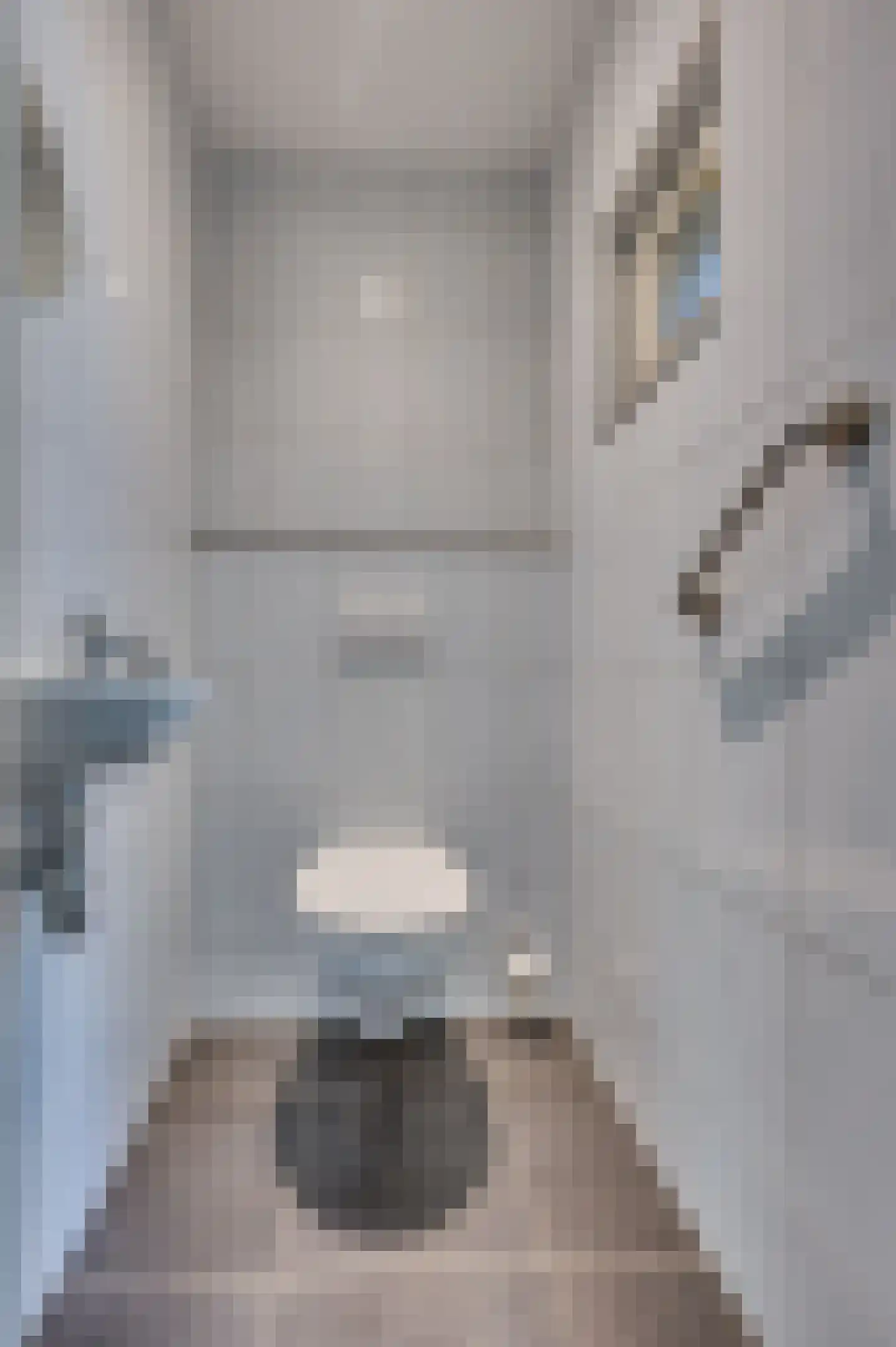 't Zand 9 Roermond thumbnail 4
