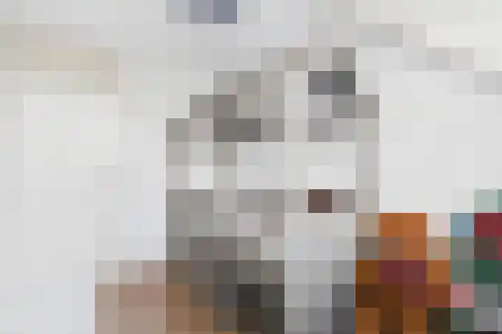 't Zanddorp 10 Middelburg thumbnail 25