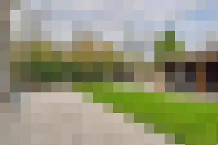 't Zanddorp 10 Middelburg thumbnail 37