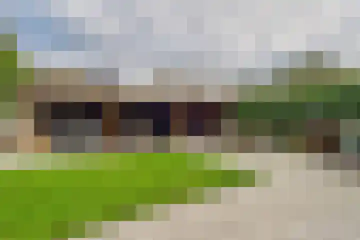 't Zanddorp 10 Middelburg thumbnail 38