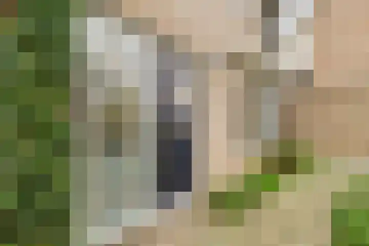 't Zanddorp 10 Middelburg thumbnail 7