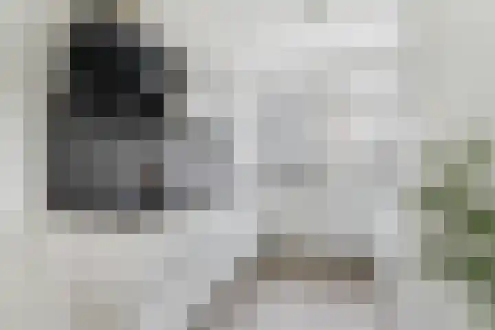 't Zanddorp 111 Middelburg thumbnail 11