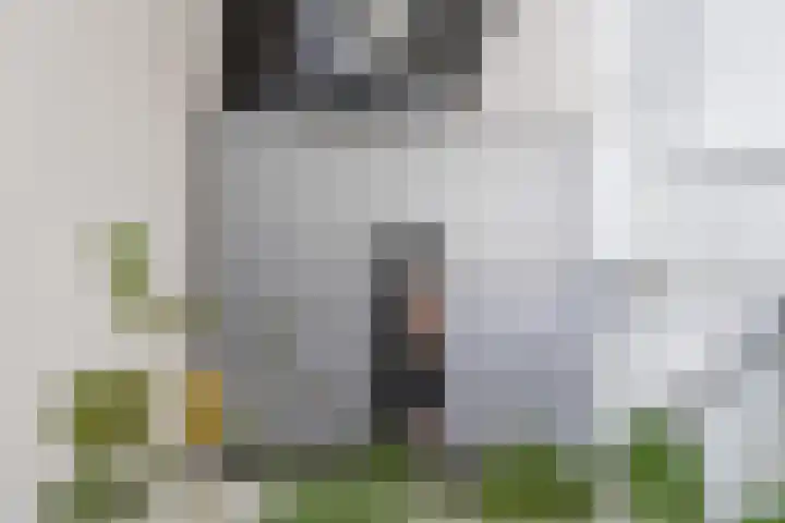 't Zanddorp 111 Middelburg thumbnail 12