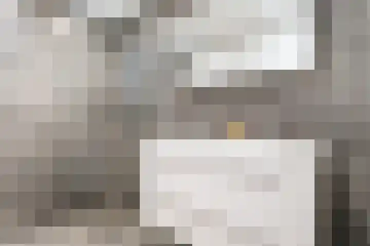 't Zanddorp 111 Middelburg thumbnail 24