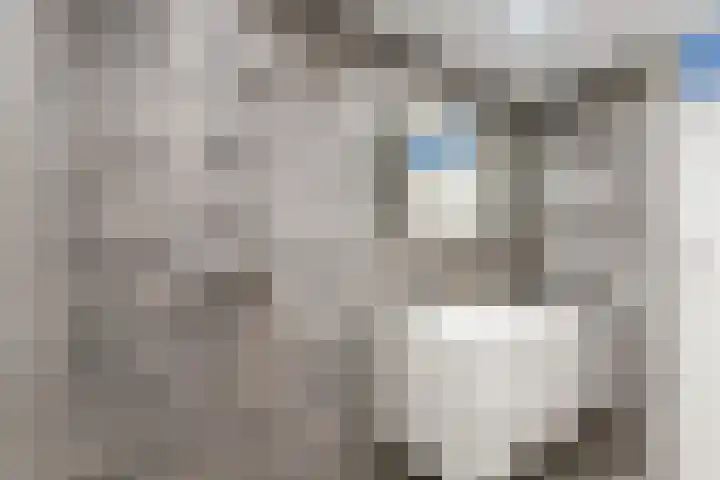 't Zanddorp 111 Middelburg thumbnail 25