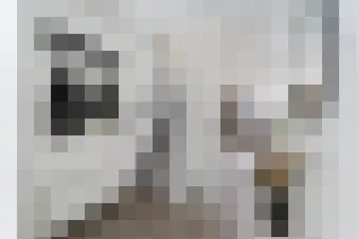 't Zanddorp 111 Middelburg thumbnail 4