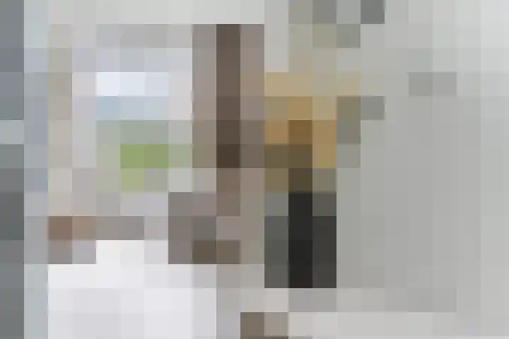 't Zanddorp 111 Middelburg thumbnail 5