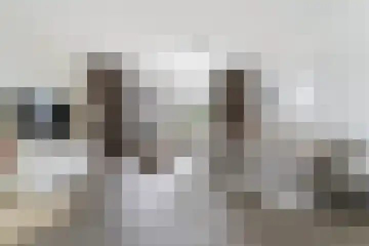 't Zanddorp 111 Middelburg thumbnail 6