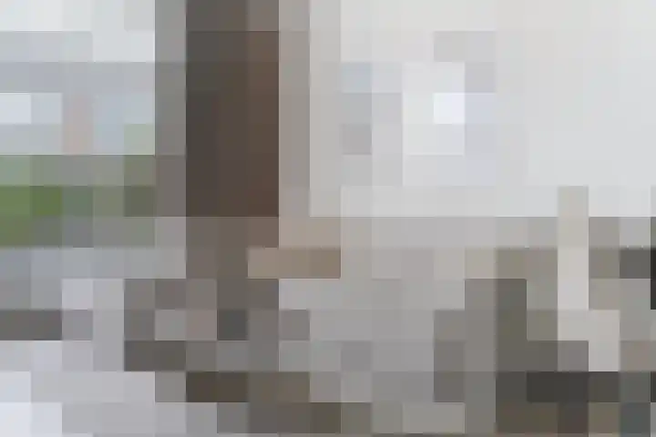 't Zanddorp 111 Middelburg thumbnail 7