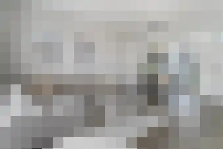 't Zanddorp 111 Middelburg thumbnail 8