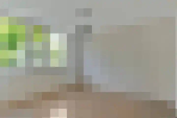't Zanddorp 28 Middelburg thumbnail 14