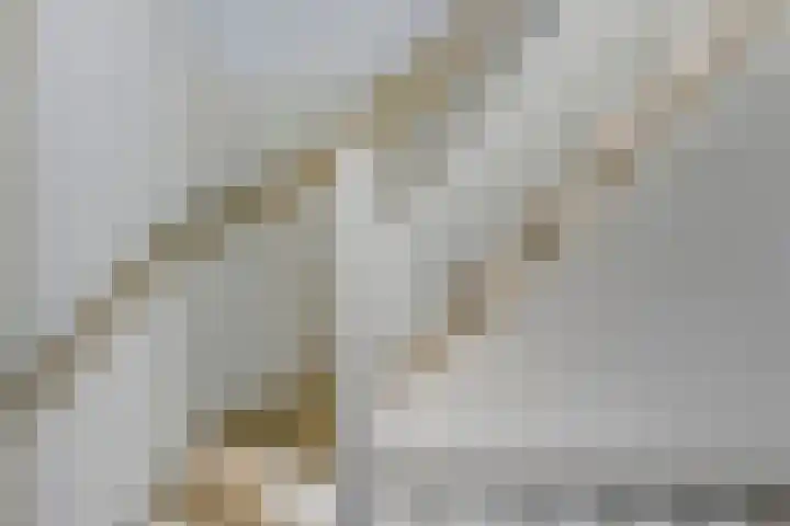 't Zanddorp 28 Middelburg thumbnail 21