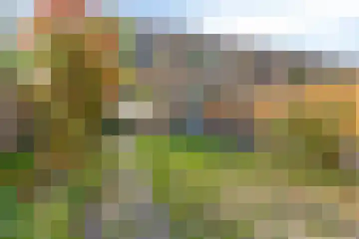 't Zanddorp 28 Middelburg thumbnail 31