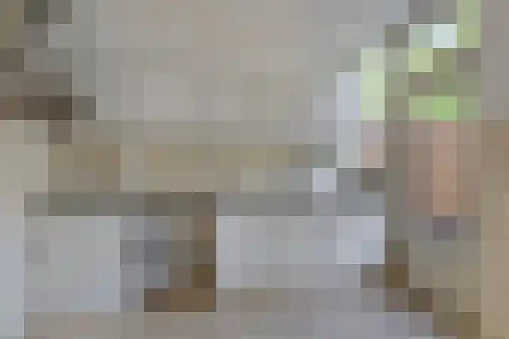 't Zanddorp 28 Middelburg thumbnail 8