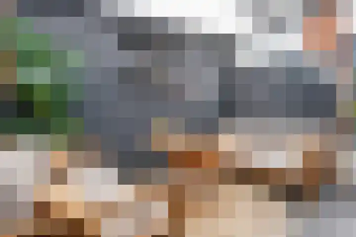 't Zanddorp 53 Middelburg thumbnail 30