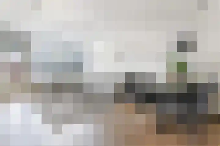 't Zanddorp 53 Middelburg thumbnail 5