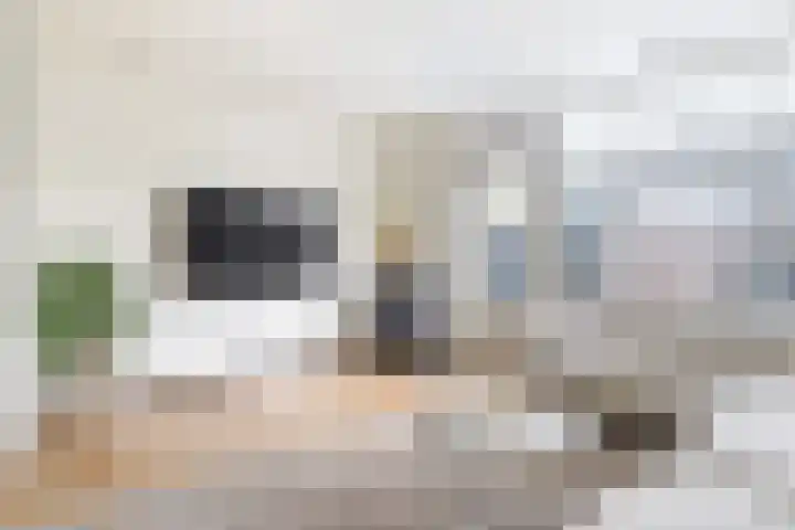 't Zanddorp 53 Middelburg thumbnail 7