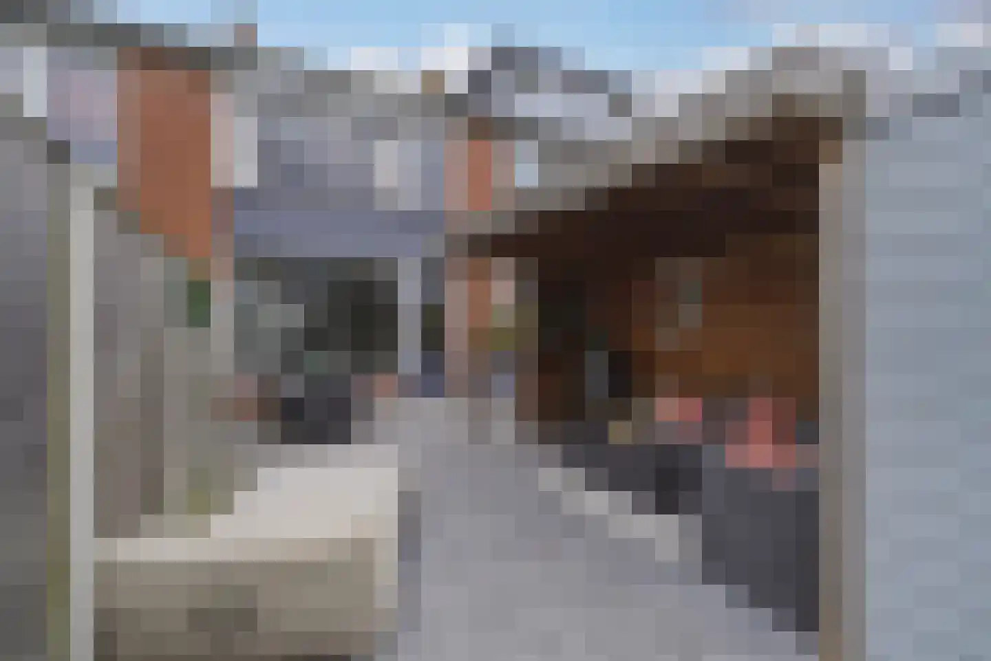 't Zanddorp 89 Middelburg thumbnail 27