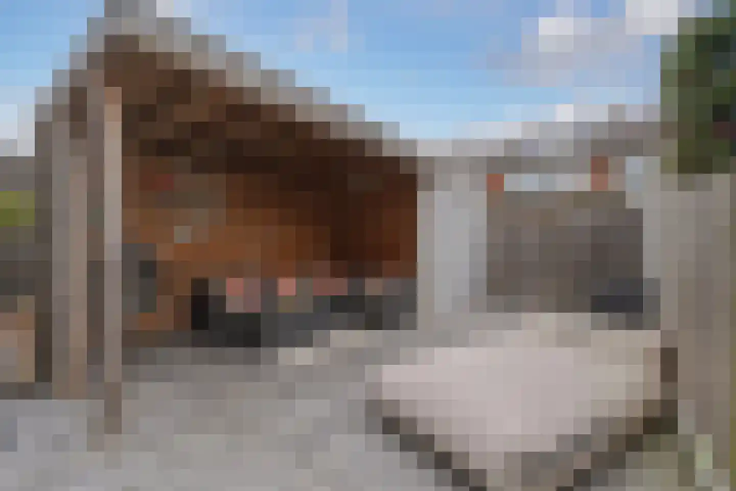 't Zanddorp 89 Middelburg thumbnail 29