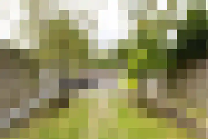 't Zanddorp 94 Middelburg thumbnail 20