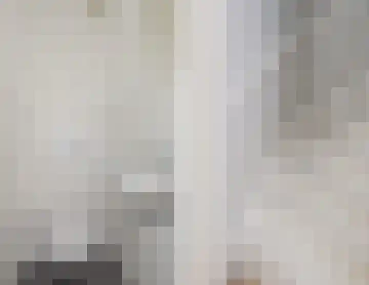 't Zuden 103 Leek thumbnail 21