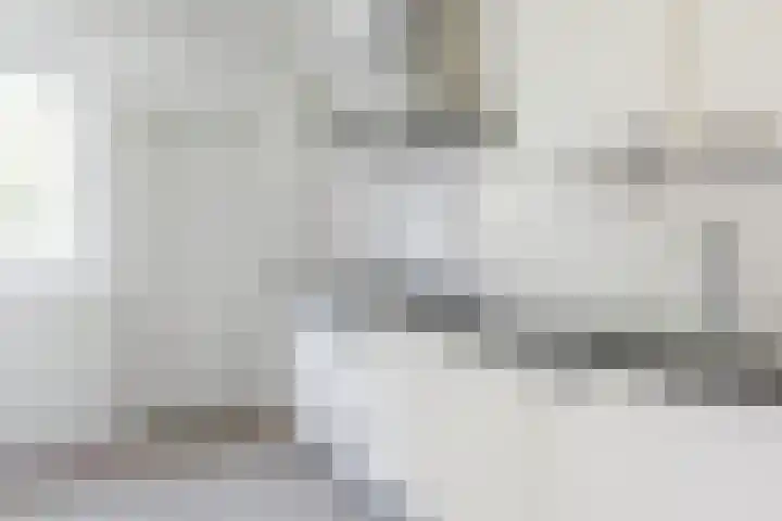 't Zuden 103 Leek thumbnail 9
