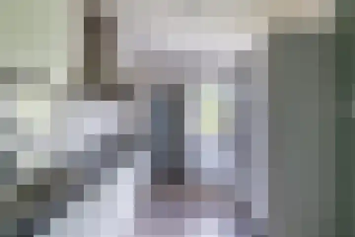 't Zuden 131 Leek thumbnail 10