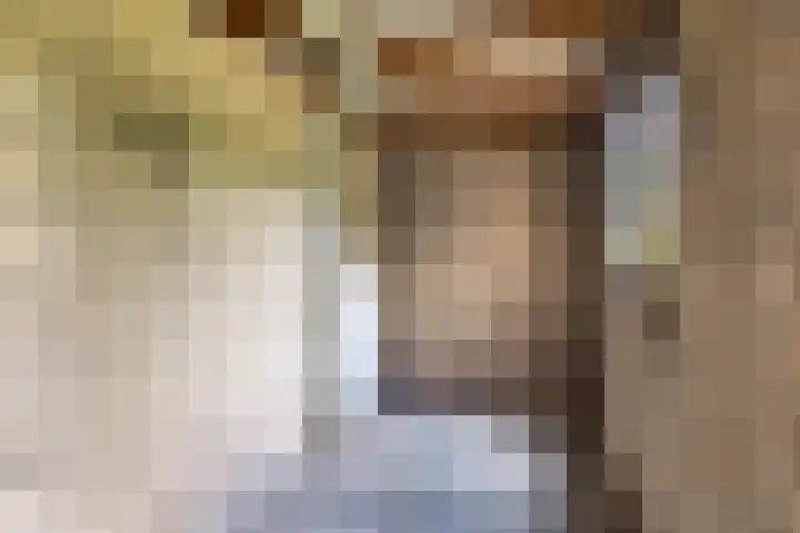 't Zuden 131 Leek thumbnail 11