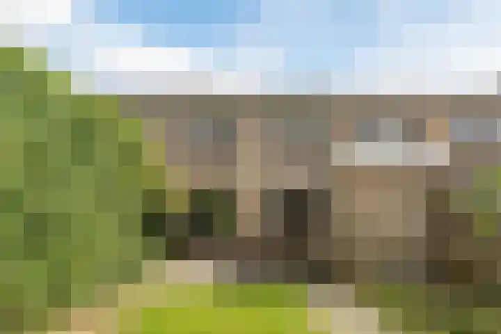 't Zuden 131 Leek thumbnail 12