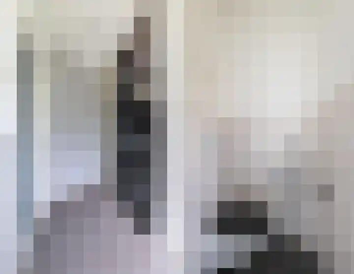't Zuden 131 Leek thumbnail 15