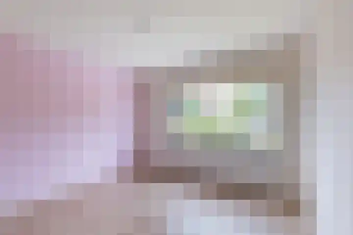 't Zuden 131 Leek thumbnail 16